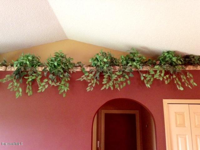 2882 Digby Road Southeast Palm Bay, FL 32909 - Photo 11 of 34 Plant Shelves