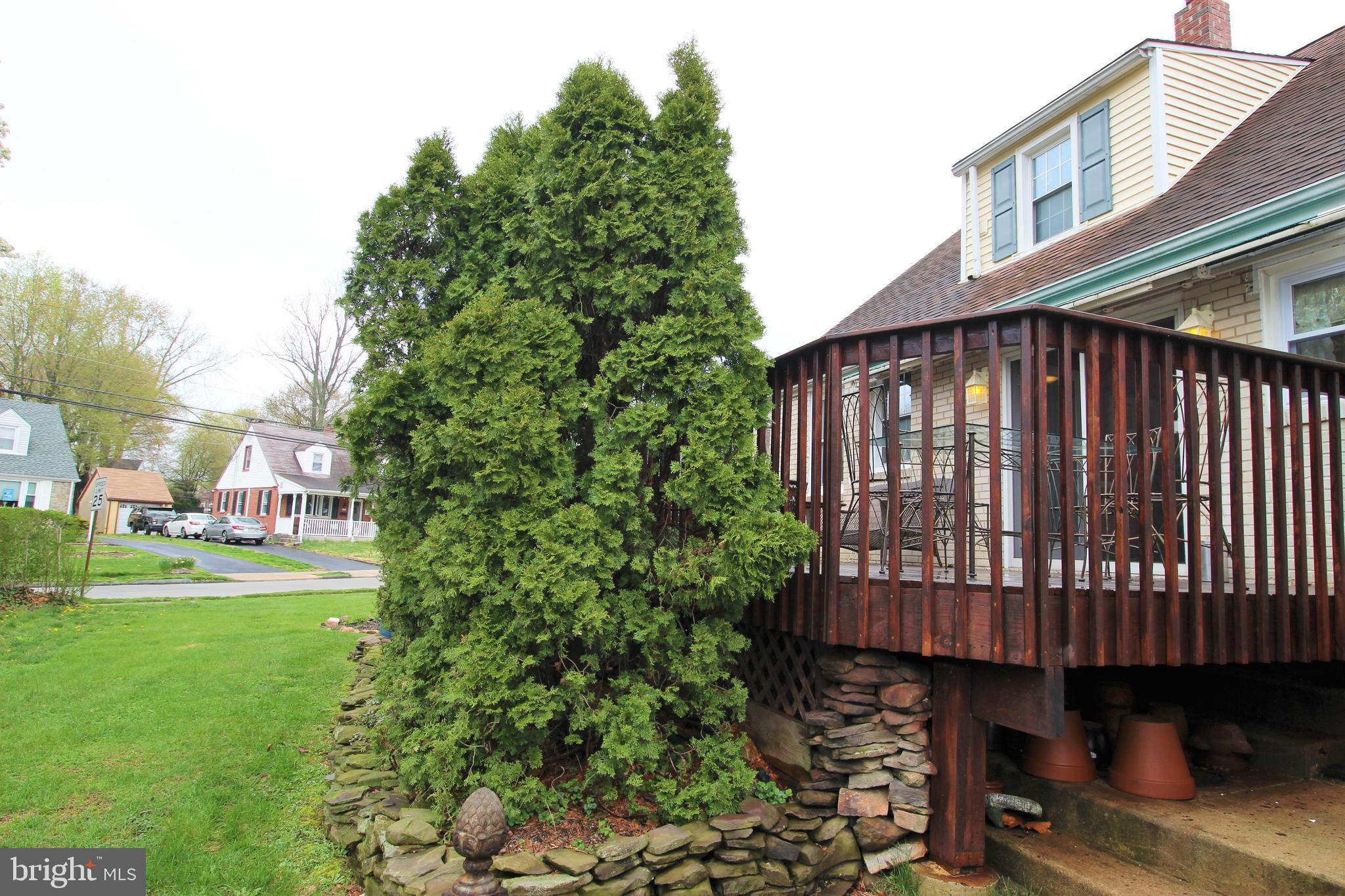 237 Claremont Road Springfield, PA 19064 - Photo 3 of 50