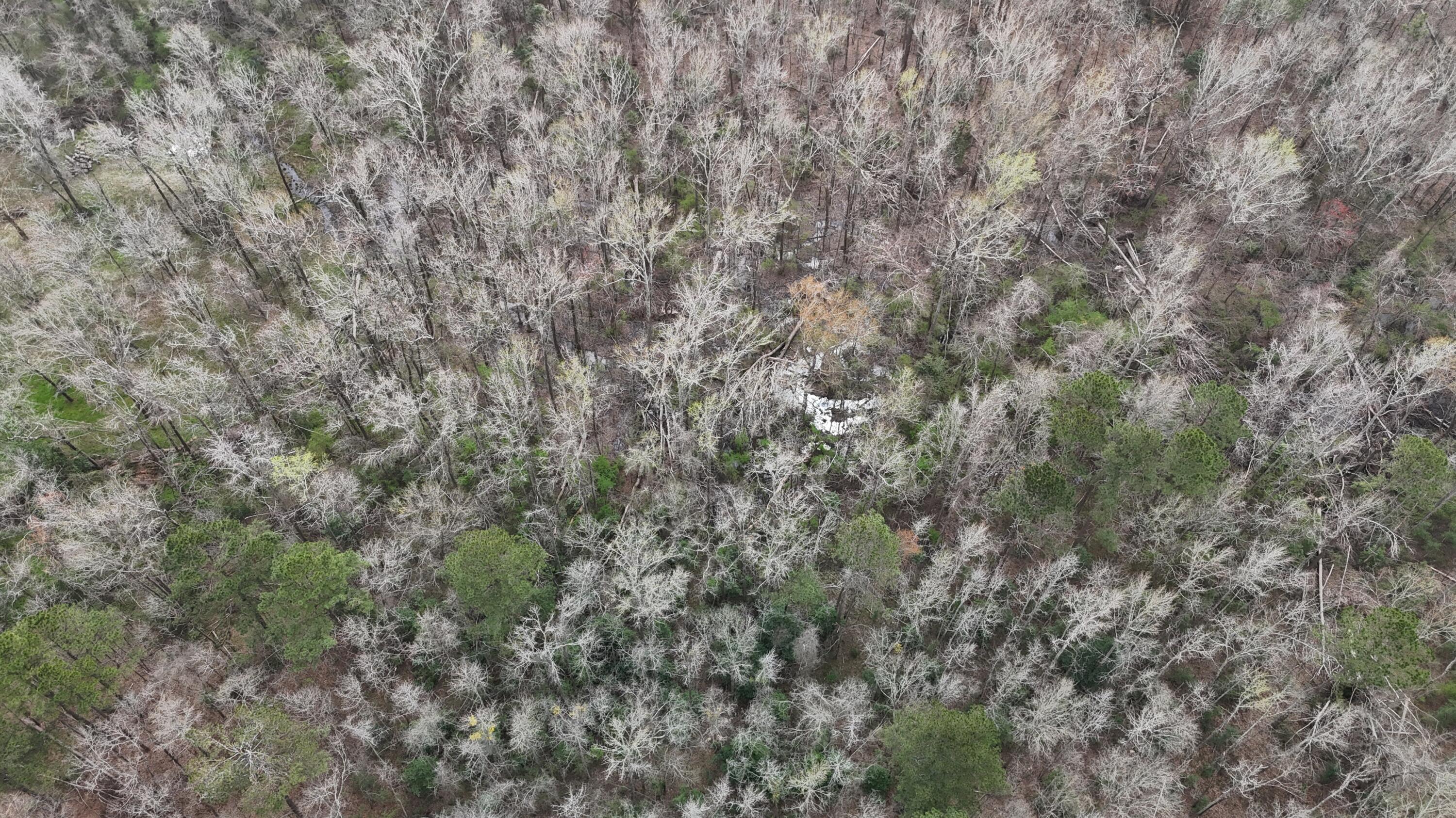 1894 McDade Road Augusta, GA 30906 - Photo 22 of 28 McDade Farm Aerial view4