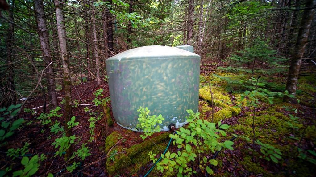 11 Greenland Cove Road Danforth, ME 04424 - Photo 8 of 23 Photo