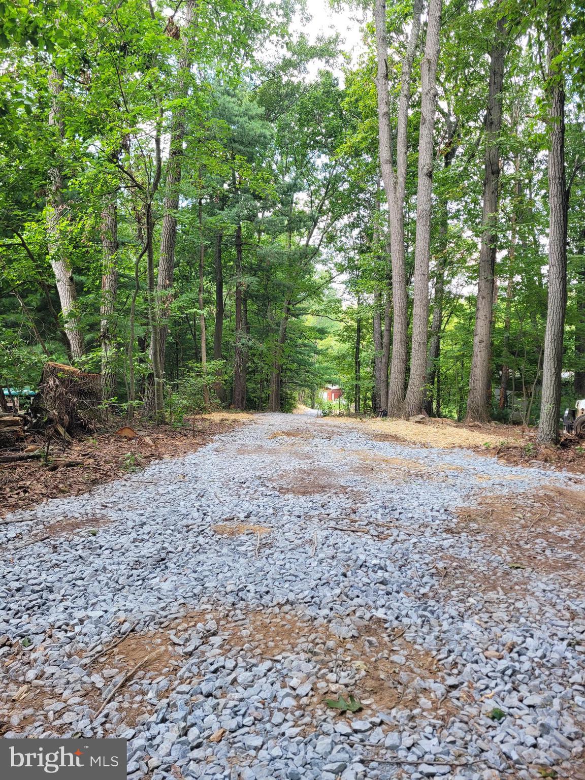 a view of a yard with large trees