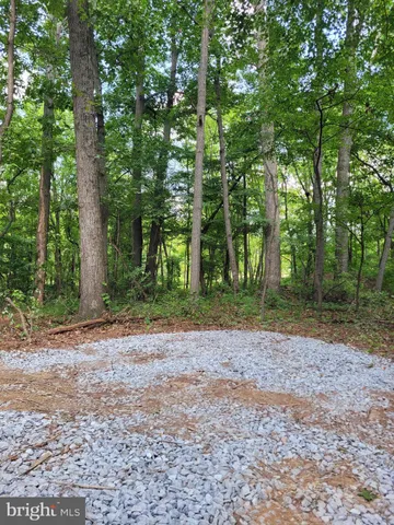 a view of a yard with tree s