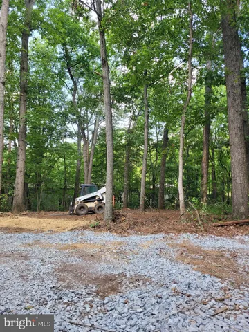 a view of backyard with tree