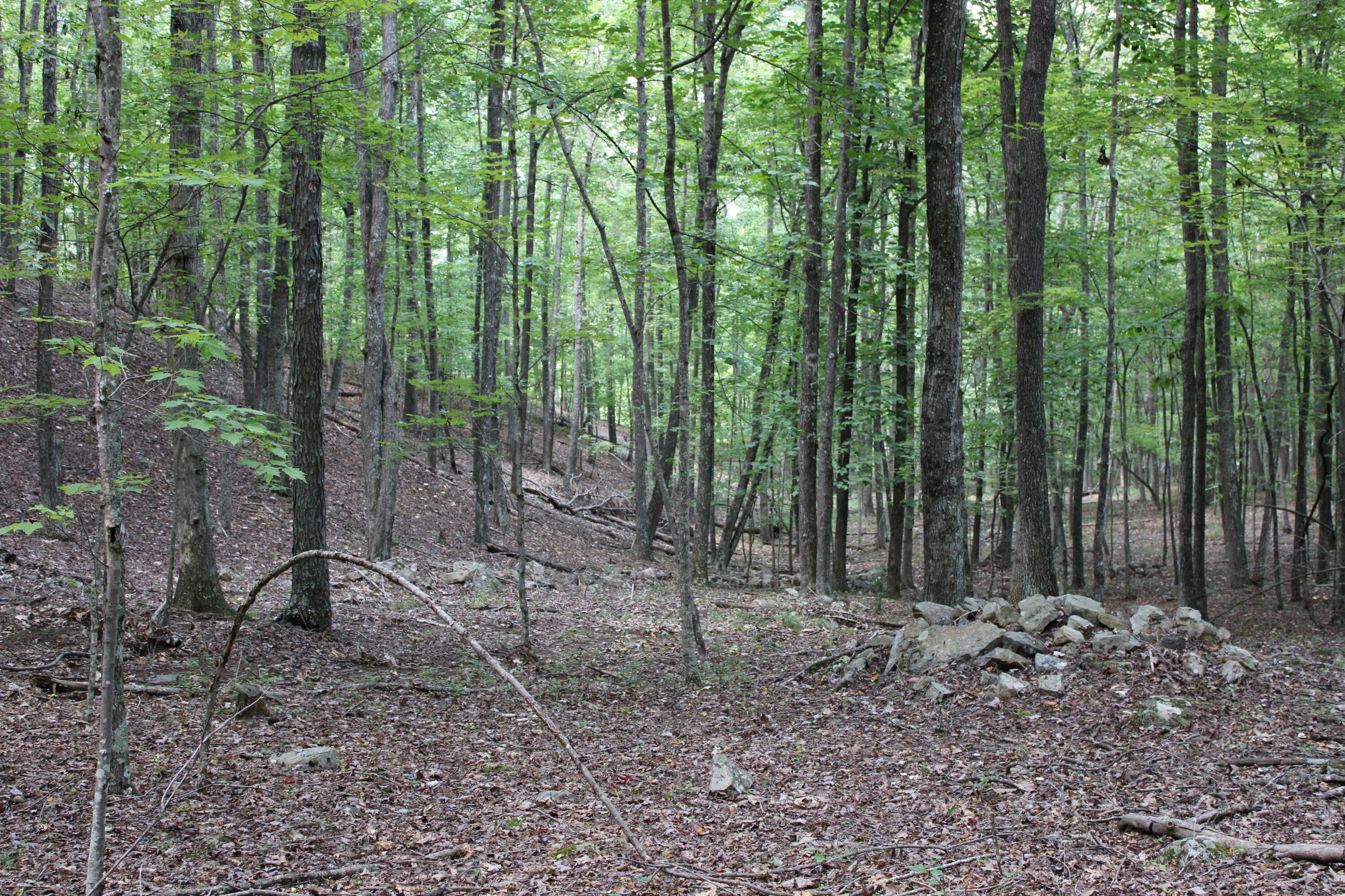 2816 Johns Creek Road New Castle, VA 24127 - Photo 55 of 96 RS IMG_0083