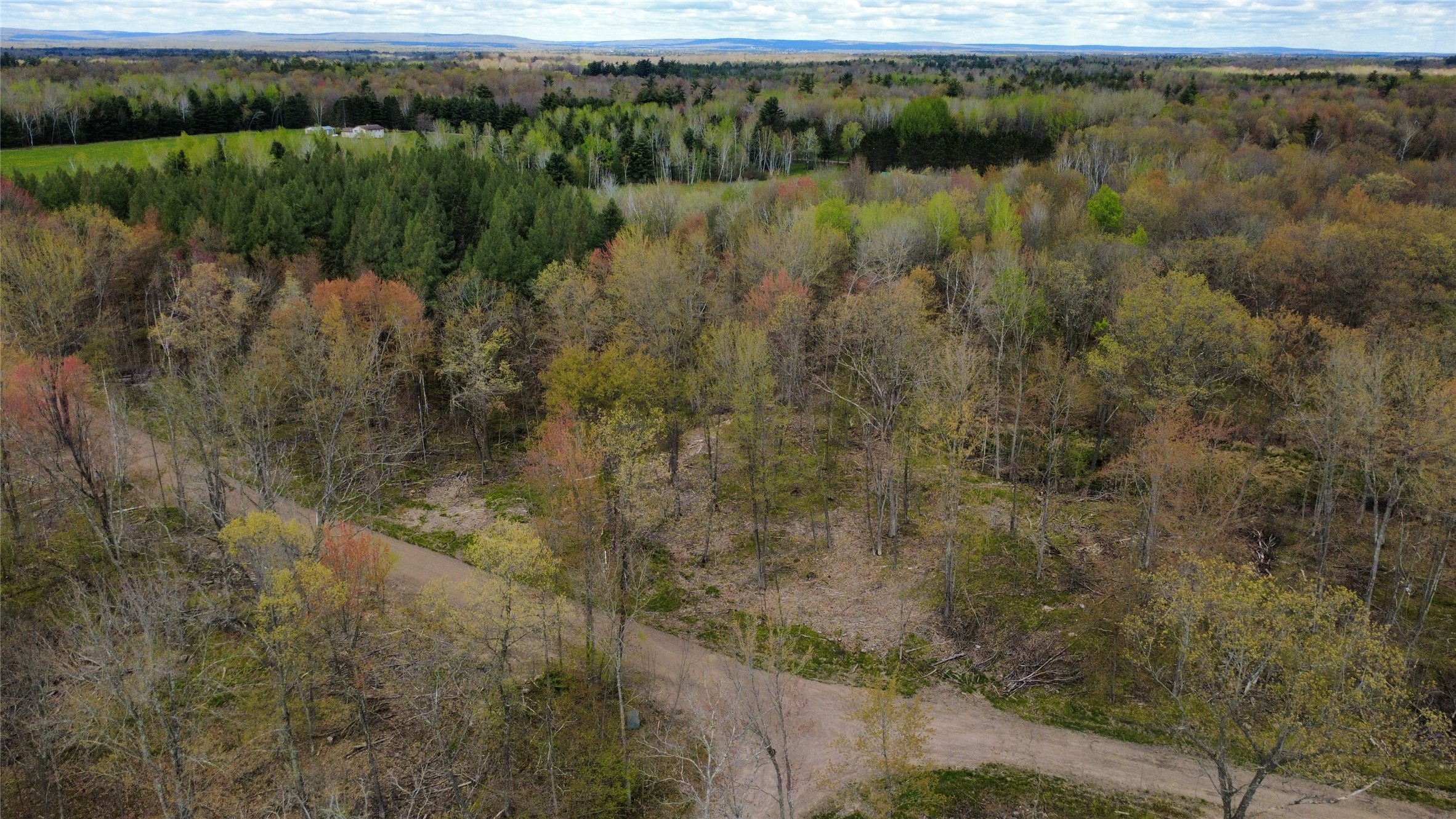 0 Ramer Road Bruce, WI 54819 - Photo 4 of 23
