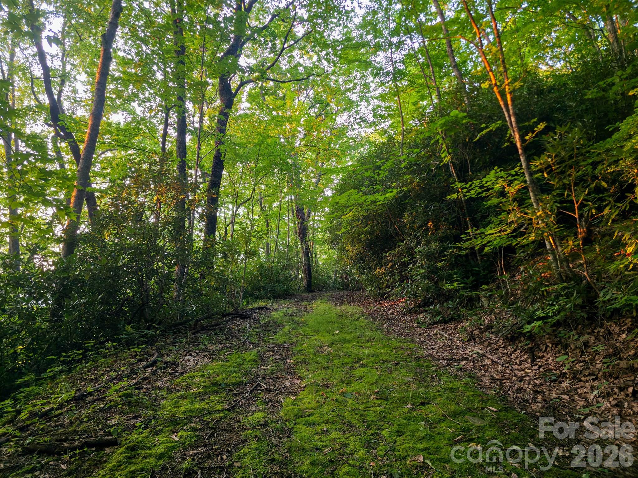 B1-b4 Anglers Ridge Waynesville, NC 28786 - Photo 6 of 21 Gallery Image 6