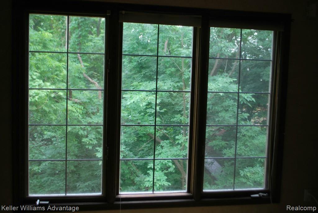 31241 Country Ridge Circle Farmington, MI 48331 - Photo 20 of 56 Beautiful view from the master bedroom