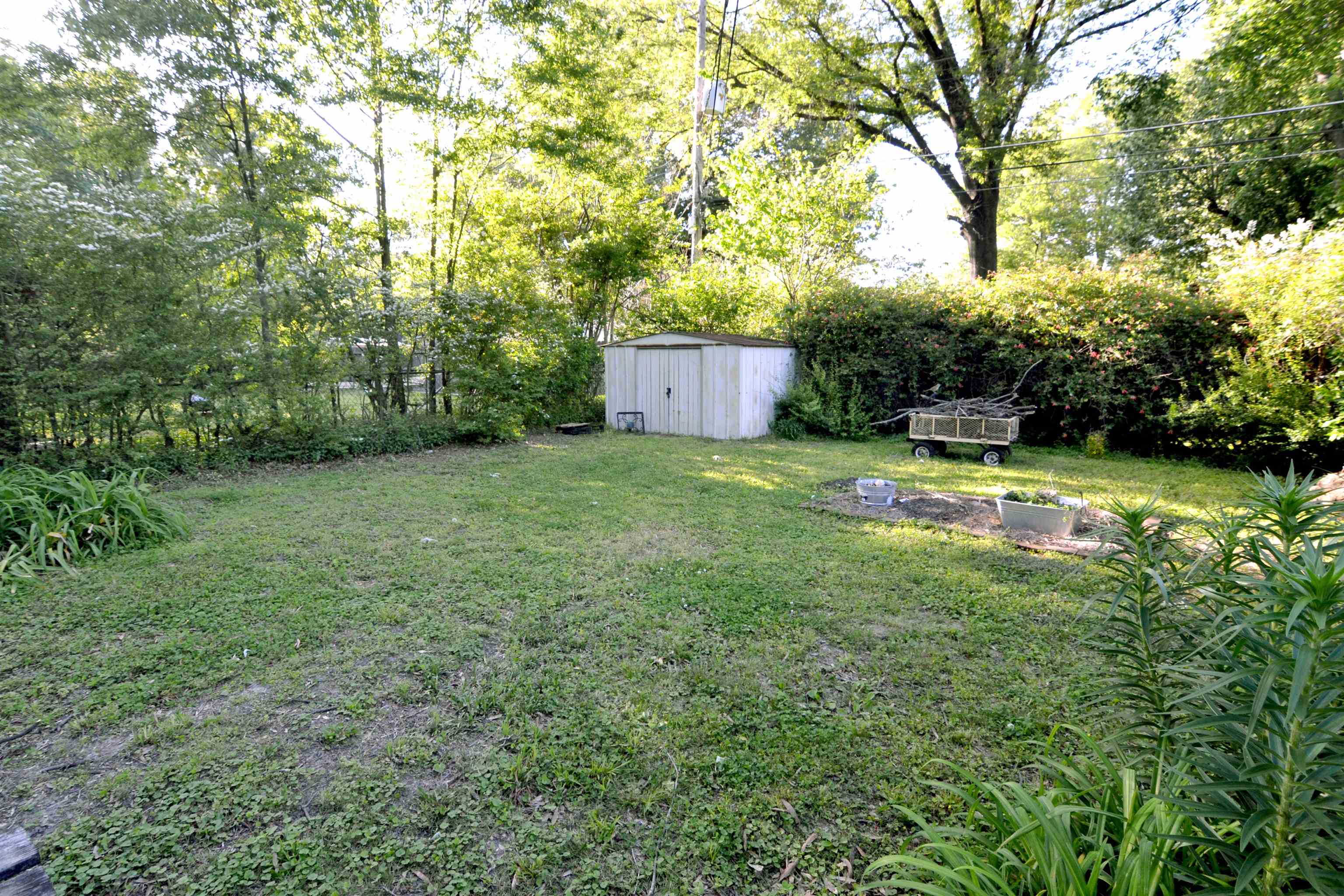 4686 Willow Road Memphis, TN 38117 - Photo 3 of 25 a view of a backyard with a garden and trees