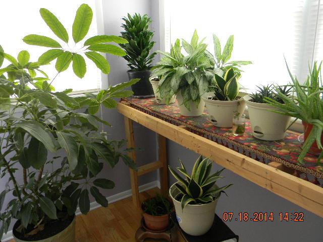2908 Hillgate Road Columbus, OH 43207 - Photo 13 of 16 Gallery Image 13