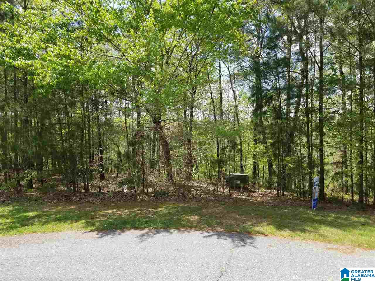Lot 106 River Birch Road, Unit LOT 106 Wedowee, AL 36278 - Photo 9 of 14