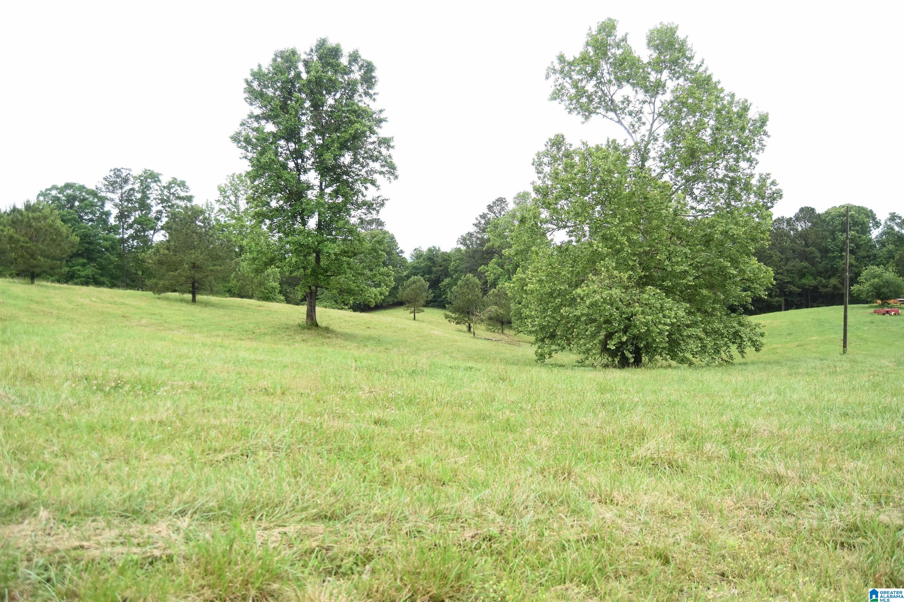 2488 Louina Road Roanoke, AL 36274 - Photo 68 of 97