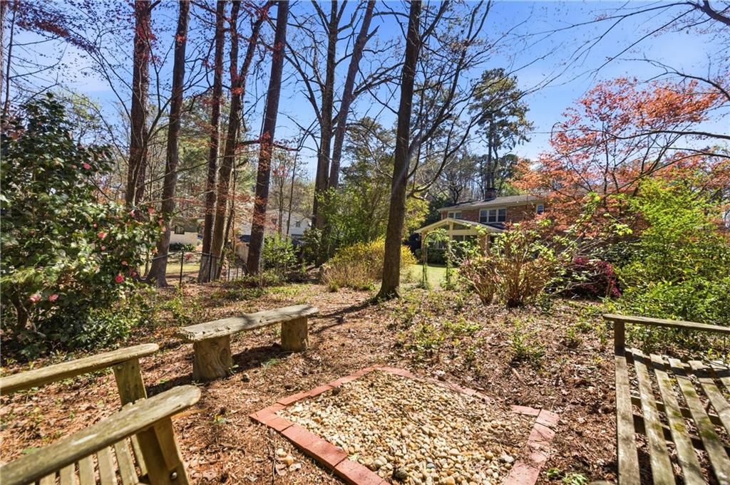 2864 Briarlake Road Northeast Atlanta, GA 30345 - Photo 72 of 77 a view of a yard with plants and trees