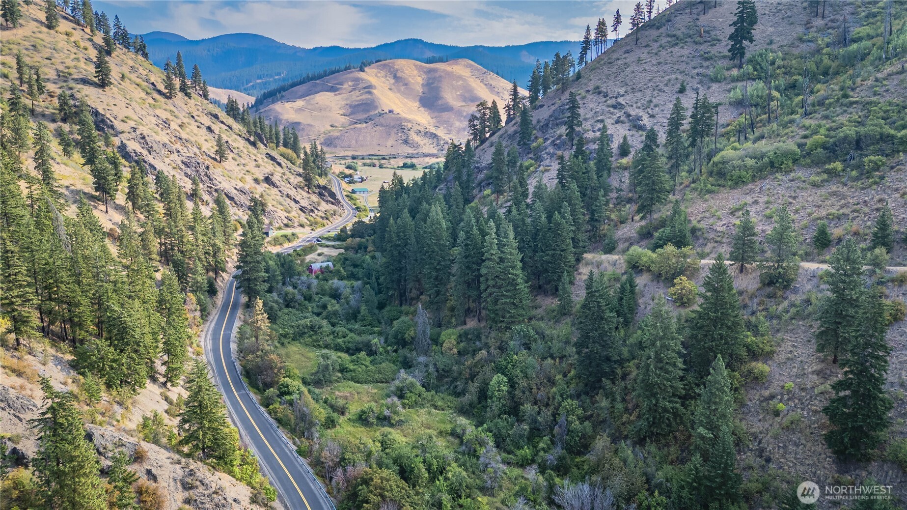 8979 Olalla Canyon Road Cashmere, WA 98815 - Photo 11 of 18 a view of a forest with a forest