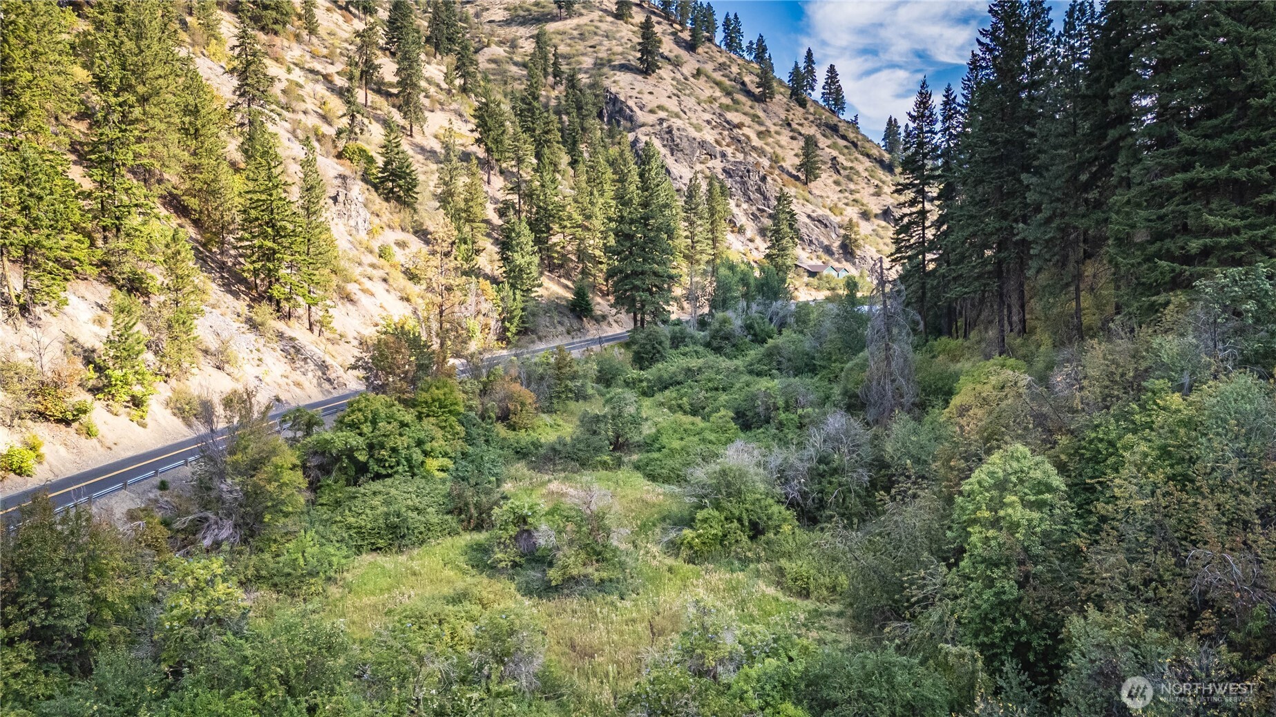 8979 Olalla Canyon Road Cashmere, WA 98815 - Photo 12 of 18 a view of a forest with a tree