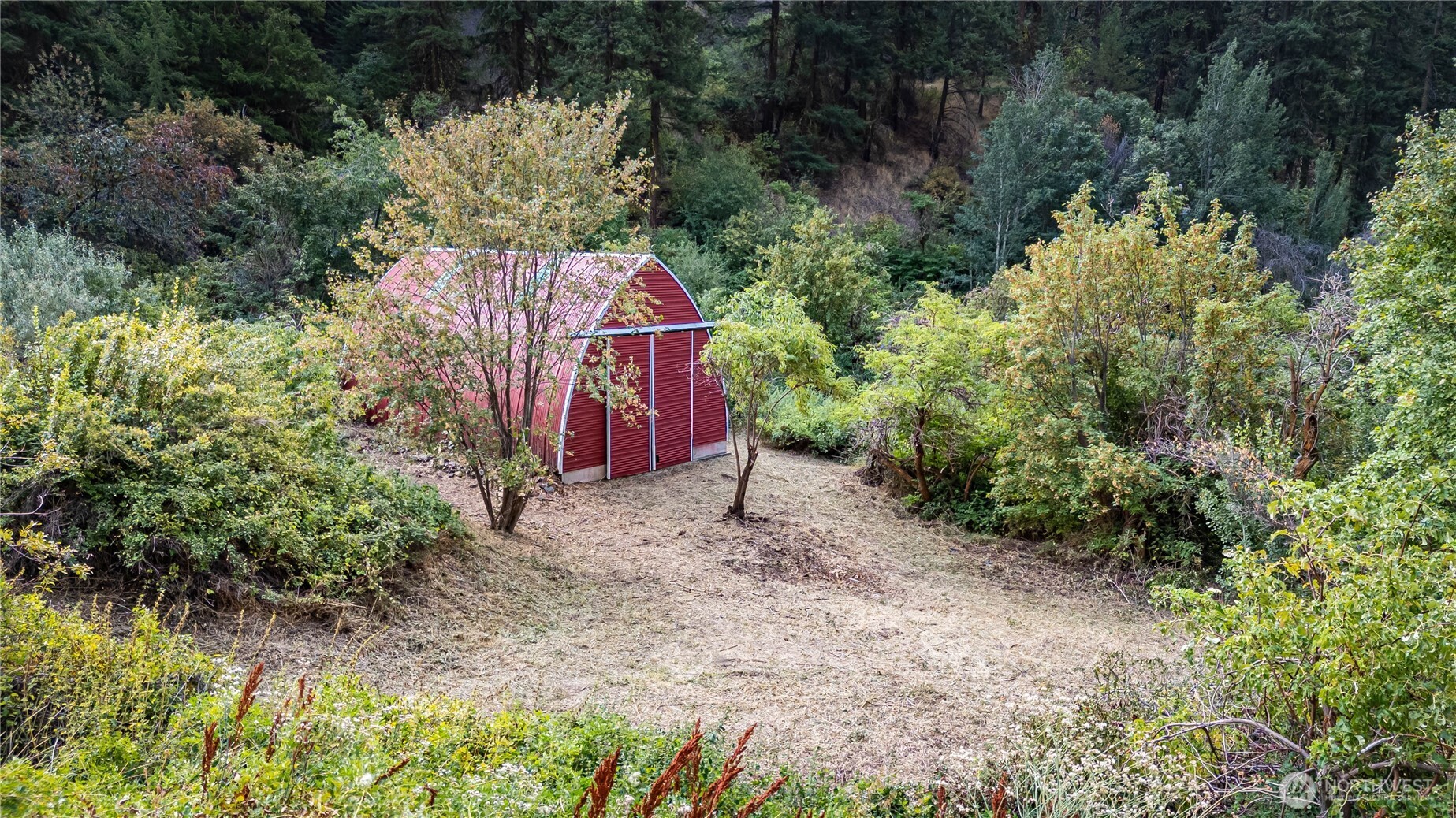 8979 Olalla Canyon Road Cashmere, WA 98815 - Photo 16 of 18 a view of a forest with large trees