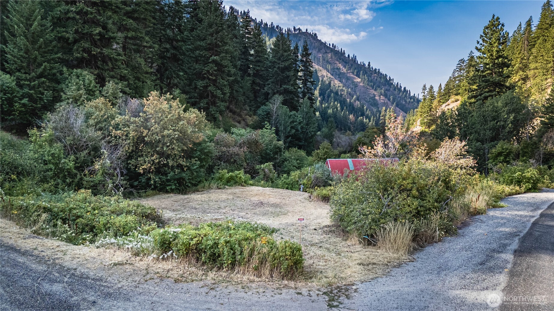 8979 Olalla Canyon Road Cashmere, WA 98815 - Photo 3 of 18 a view of street with lots of trees