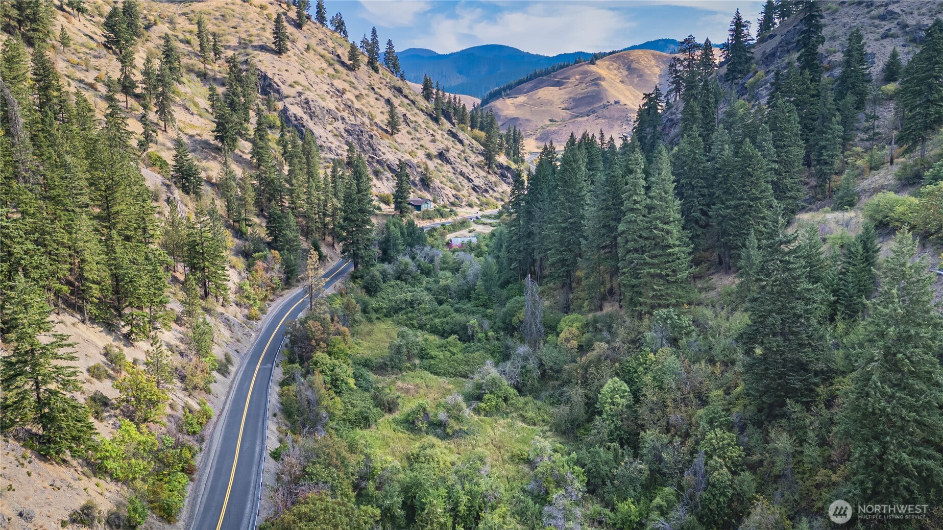 8979 Olalla Canyon Road Cashmere, WA 98815 - Photo 10 of 18 a view of a forest with a mountain