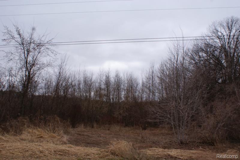 DSC05021.jpg