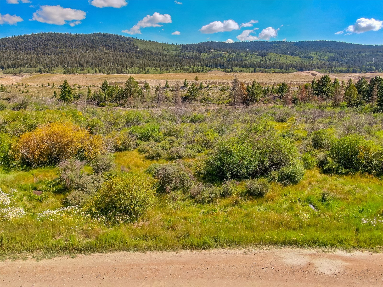 Lot 17 Singleton Road Alma, CO 80420 - Photo 16 of 20 Gallery Image 16