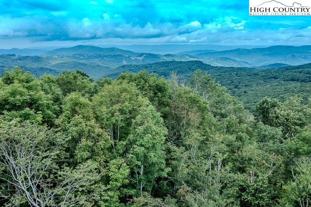 128 Hawthorn Road Beech Mountain, NC 28604 - Photo 44 of 46