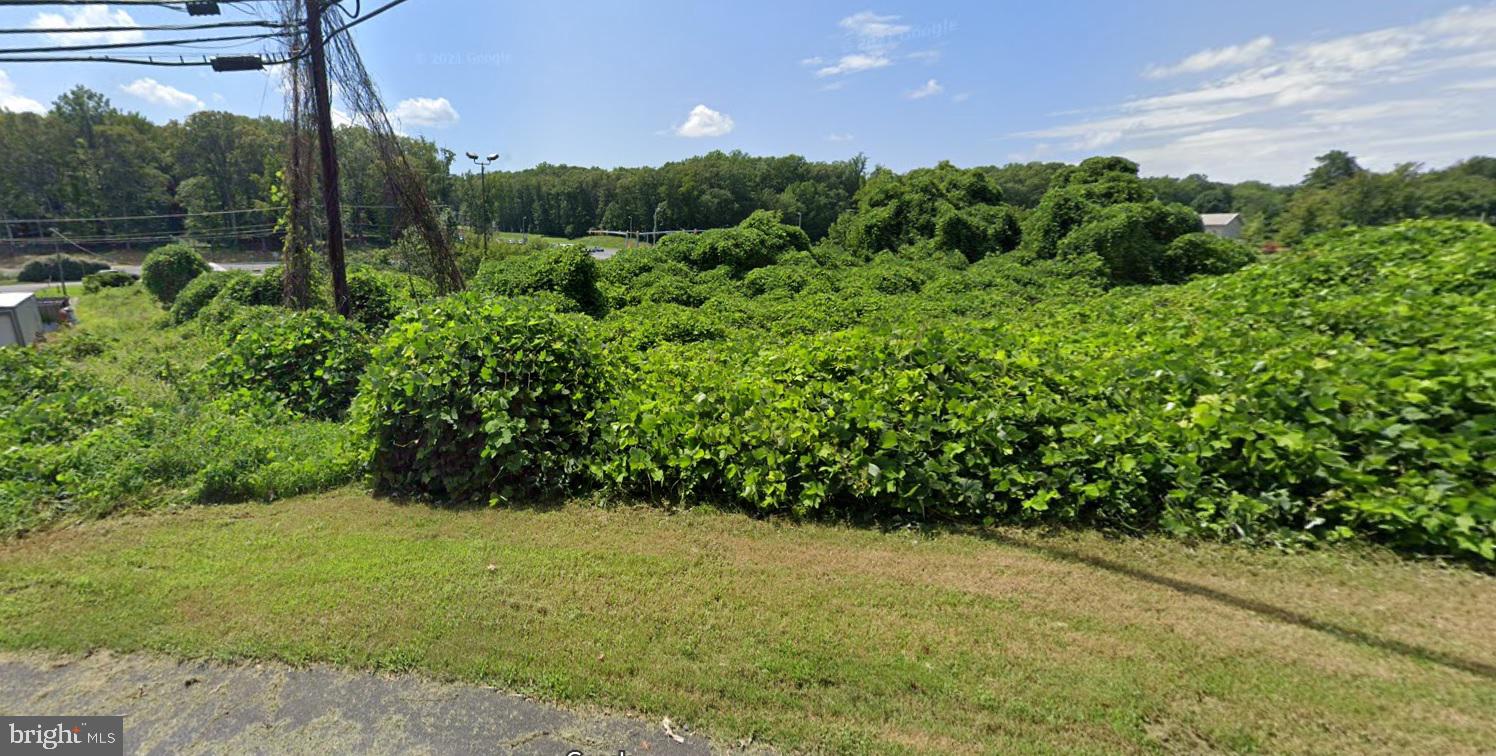 18710 Triangle Street Triangle, VA 22172 - Photo 1 of 2 Gallery Image 1