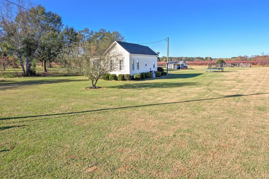 229 Early Sims Road Ridge Spring, SC 29129 - Photo 8 of 41