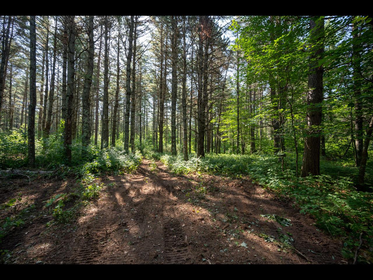 Lot #90 Camp St. George Road Eagle River, WI 54521 - Photo 5 of 16 Gallery Image 5