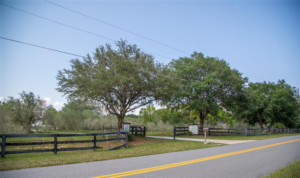 20130 Sugarloaf Mountain Road Clermont, FL 34715 - Photo 13 of 18 a view of a yard with a large tree