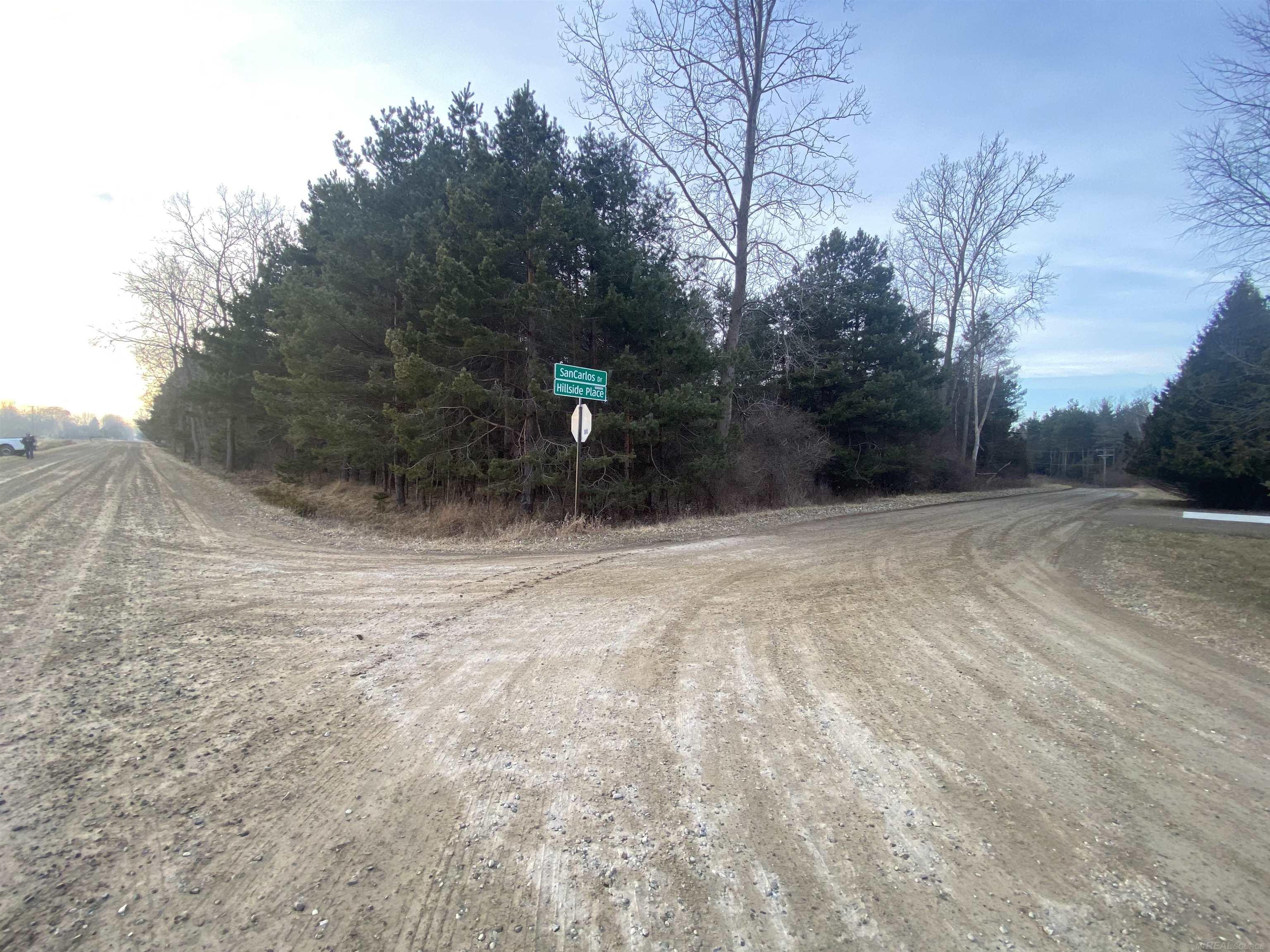 Mann Rd Port Port Sanilac, MI 48469 - Photo 6 of 20