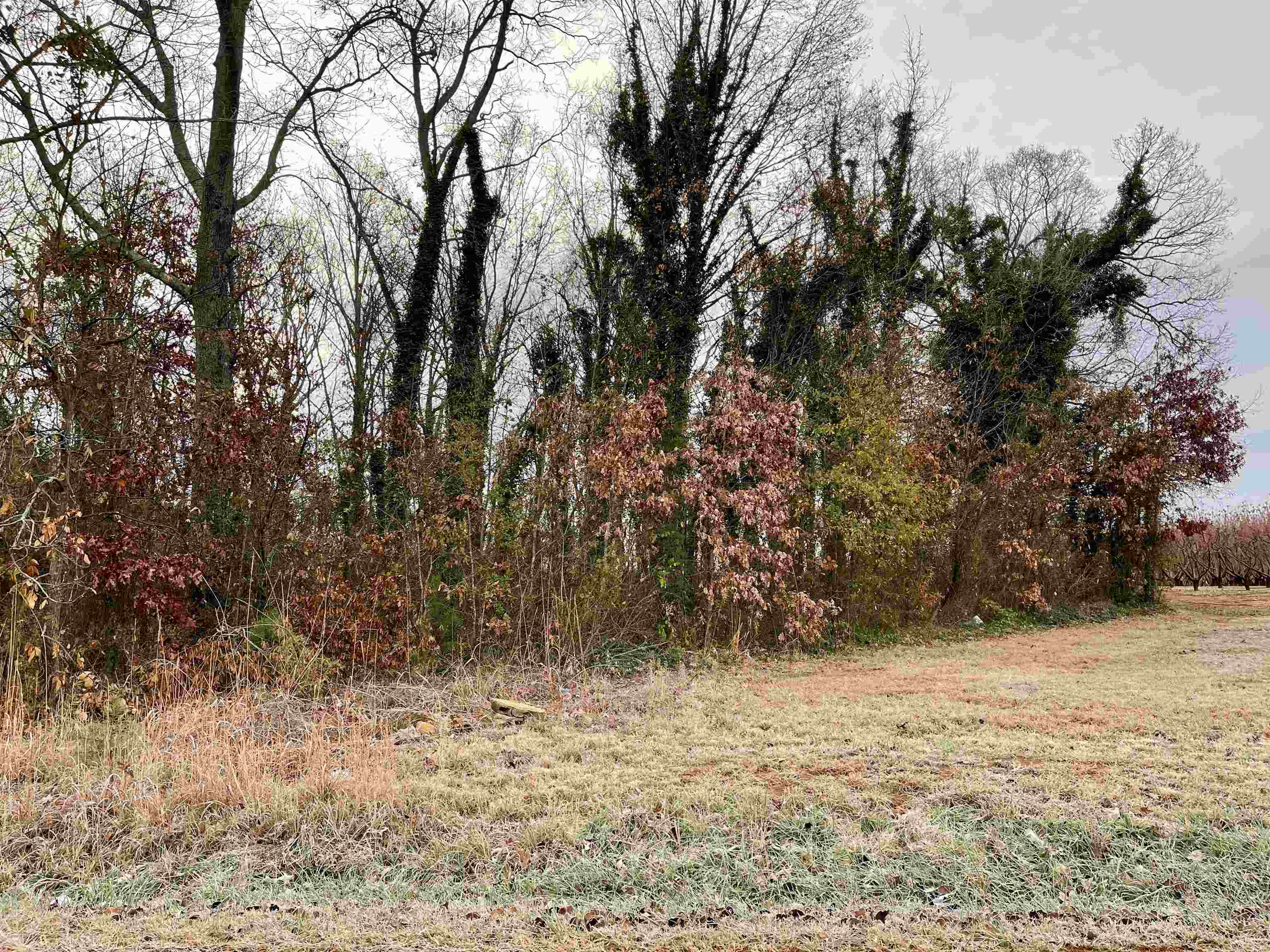 0 Henderson Road Chesnee, SC 29323 - Photo 1 of 2 Gallery Image 1