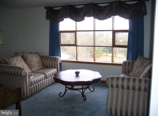 478 Fairground Road Front Royal, VA 22630 - Photo 28 of 101 Gallery Image 28