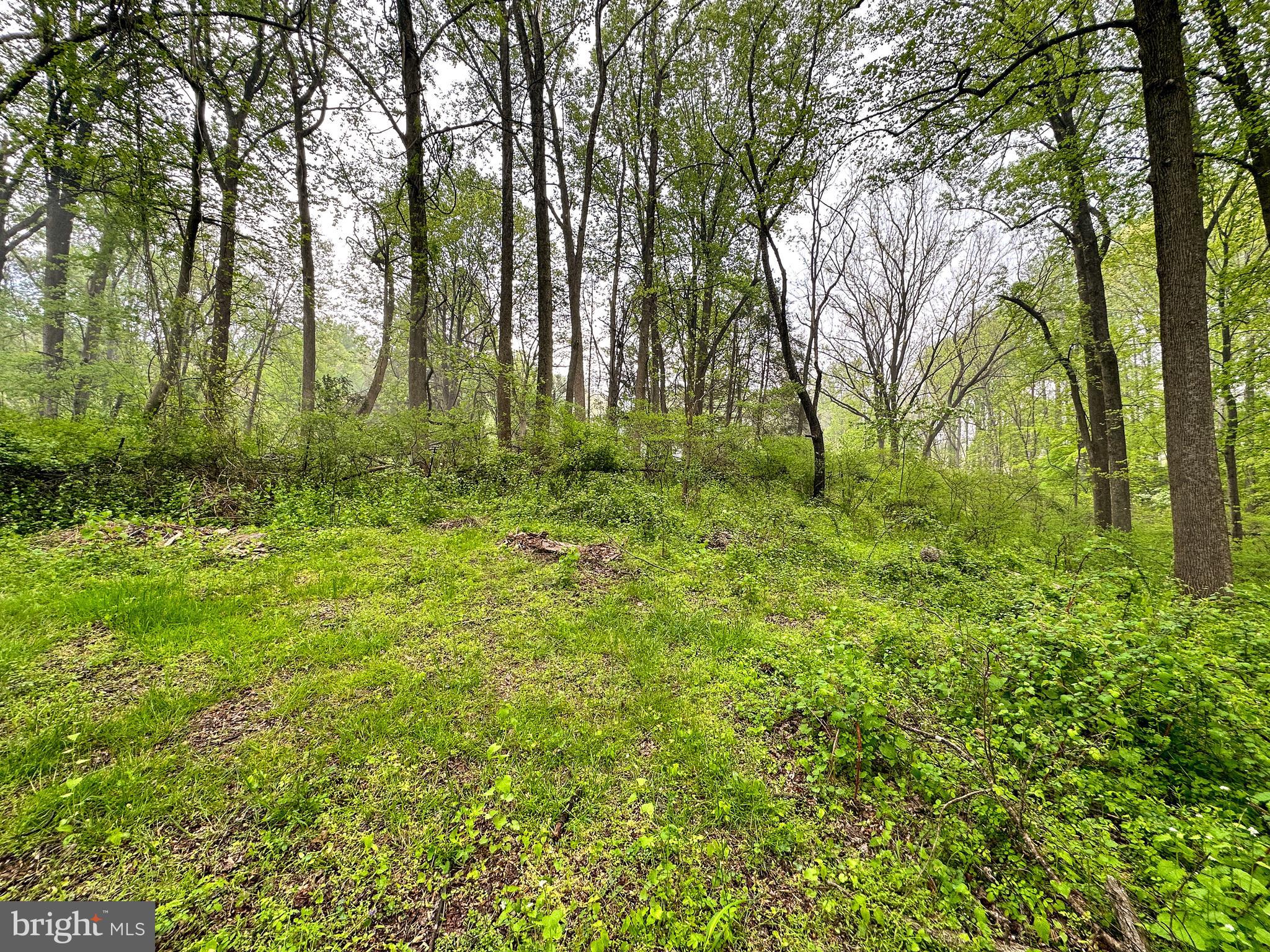 Carroll Mill Road Phoenix, MD 21131 - Photo 11 of 15