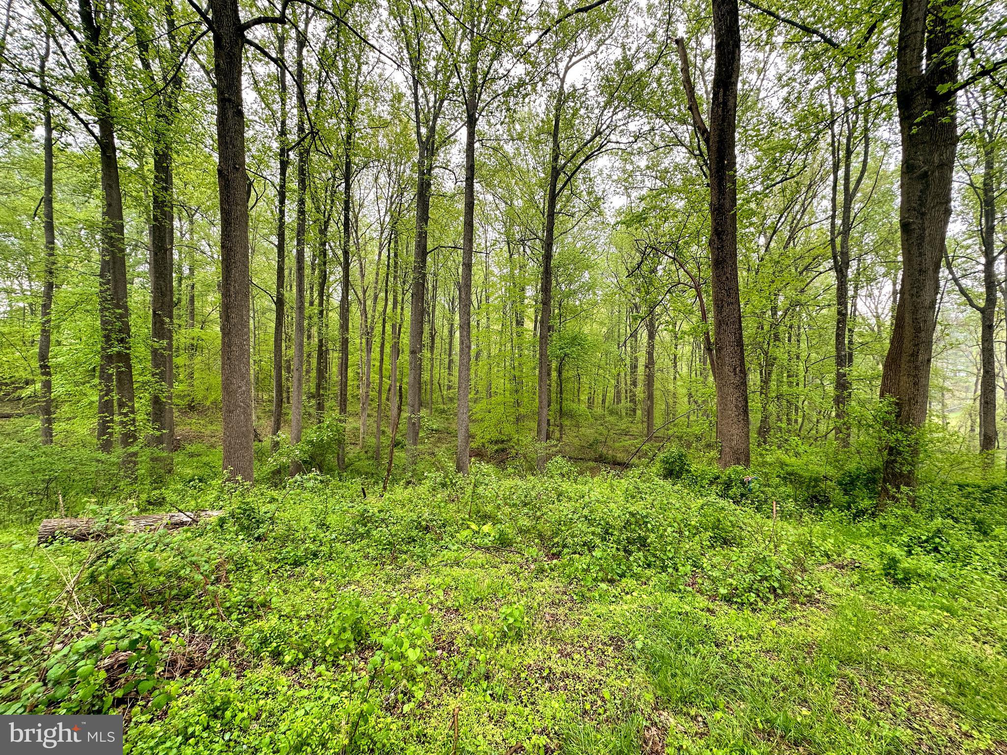 Carroll Mill Road Phoenix, MD 21131 - Photo 13 of 15