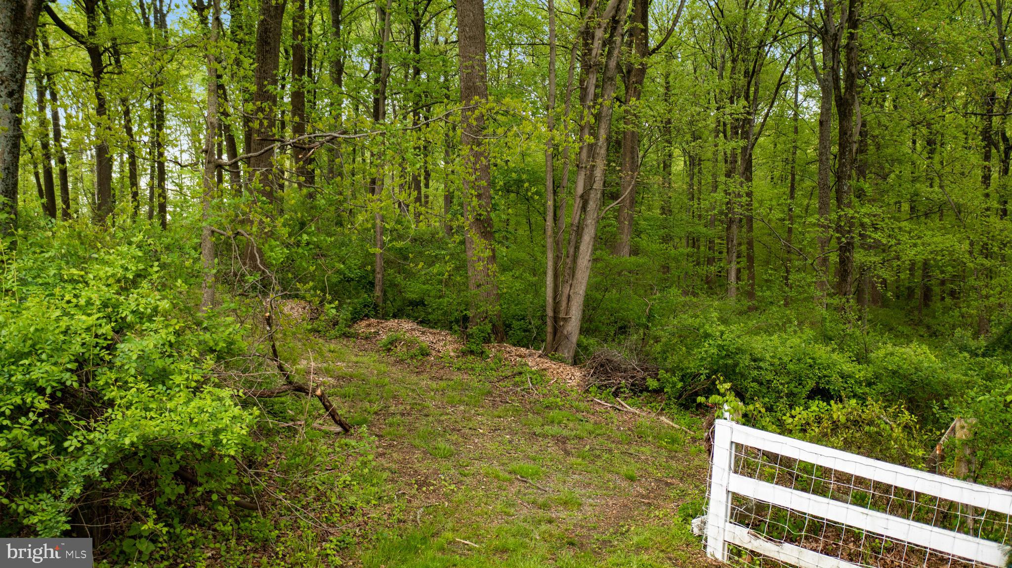 Carroll Mill Road Phoenix, MD 21131 - Photo 4 of 15