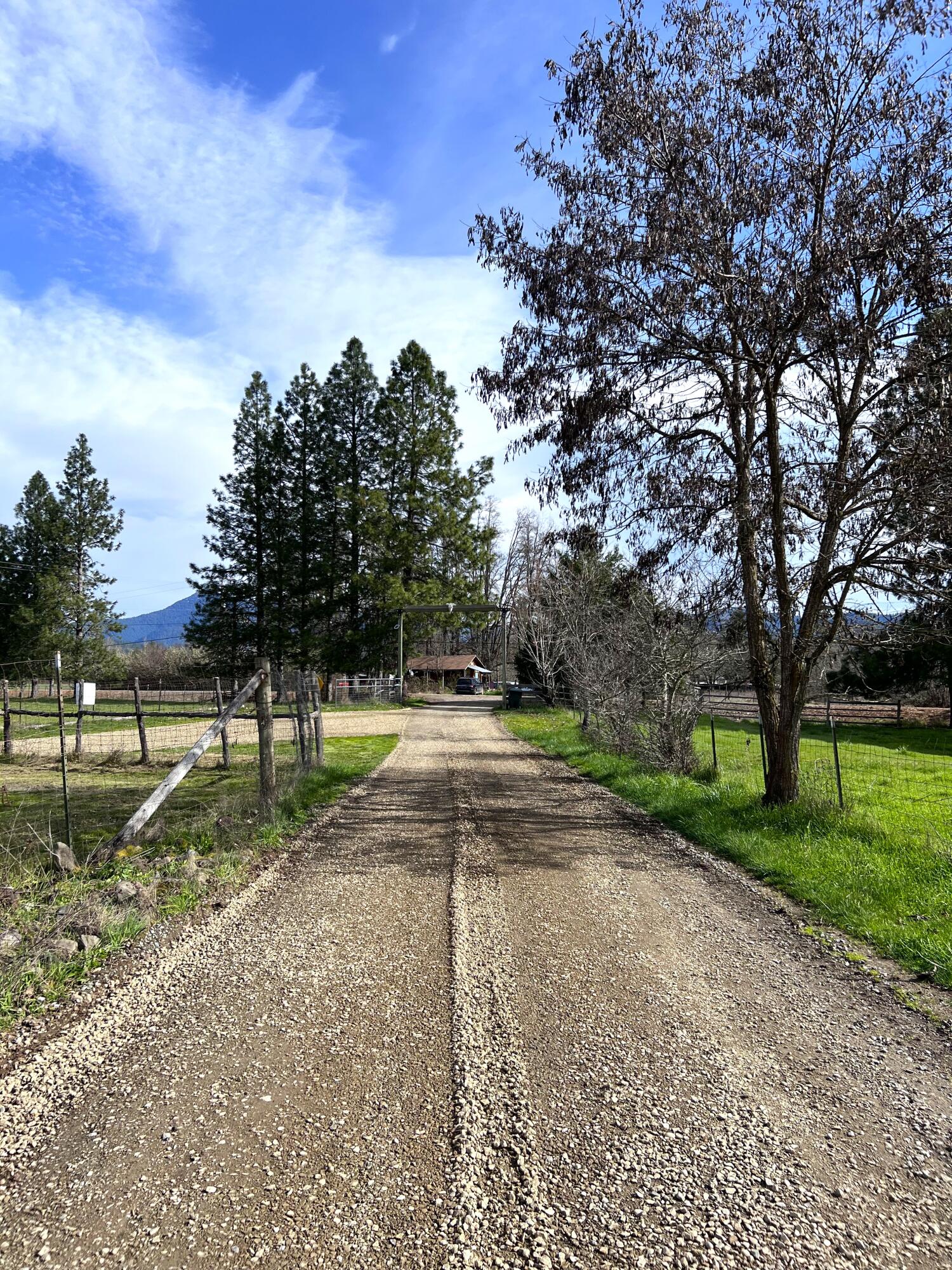 620 Dick George Road Cave Junction, OR 97523 - Photo 116 of 123 29