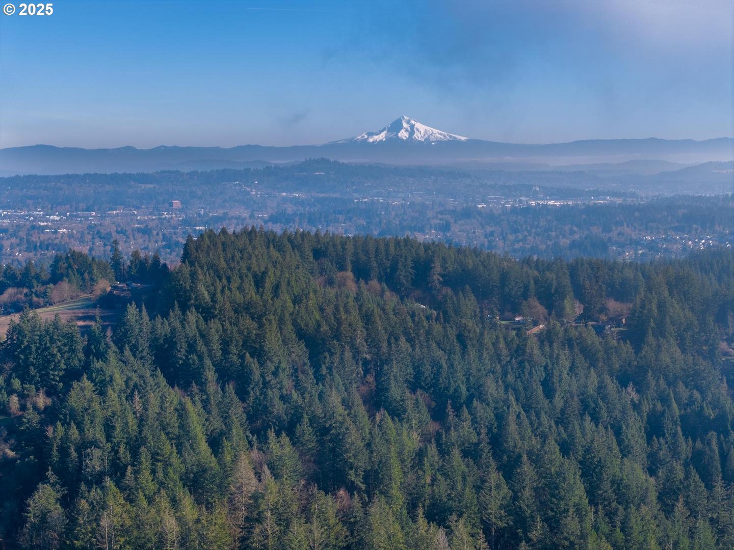 Southwest 175th Avenue Beaverton, OR 97007 - Photo 7 of 7