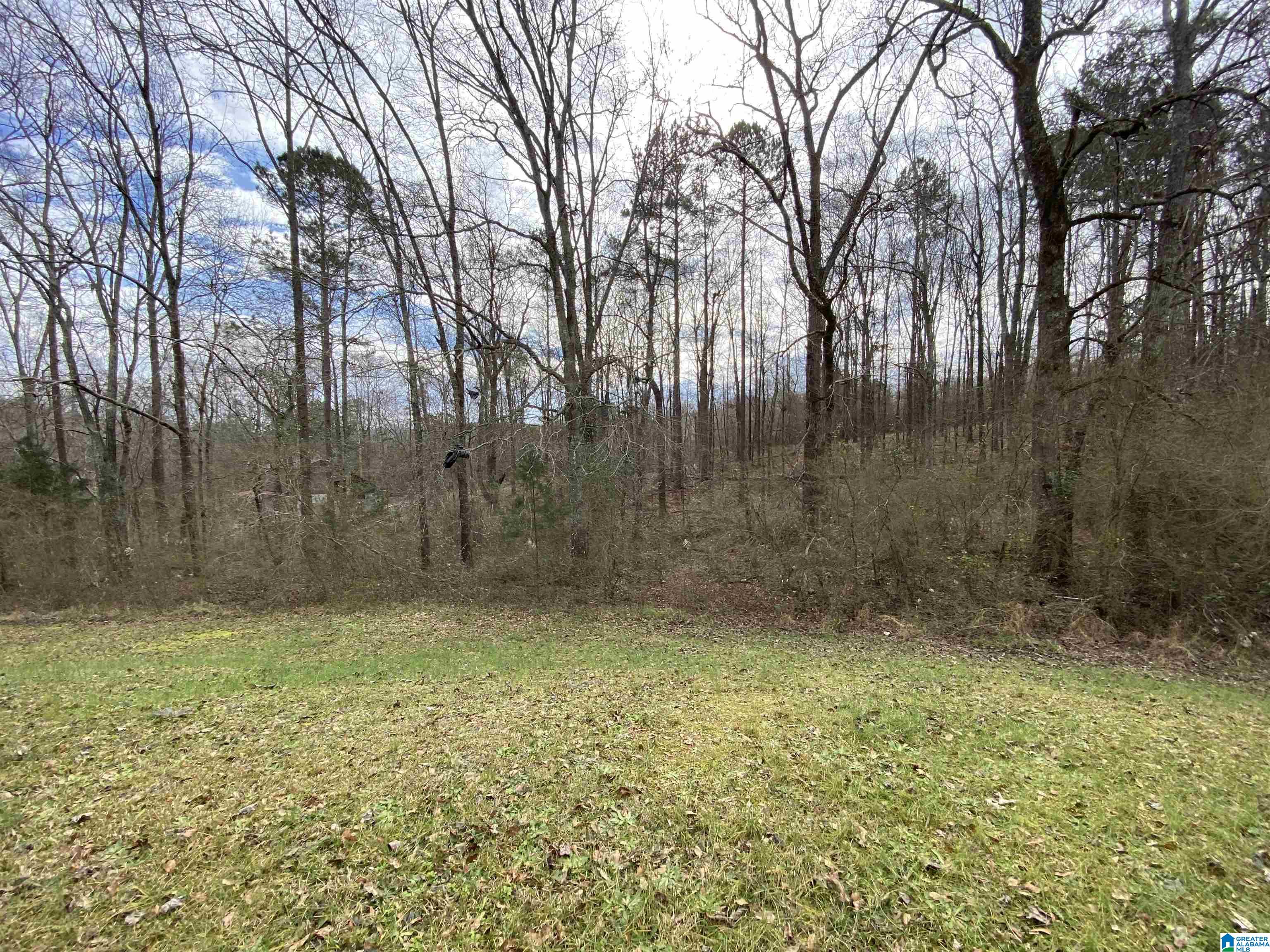 2775 Pinehole Road, Unit N Lineville, AL 36266 - Photo 3 of 5