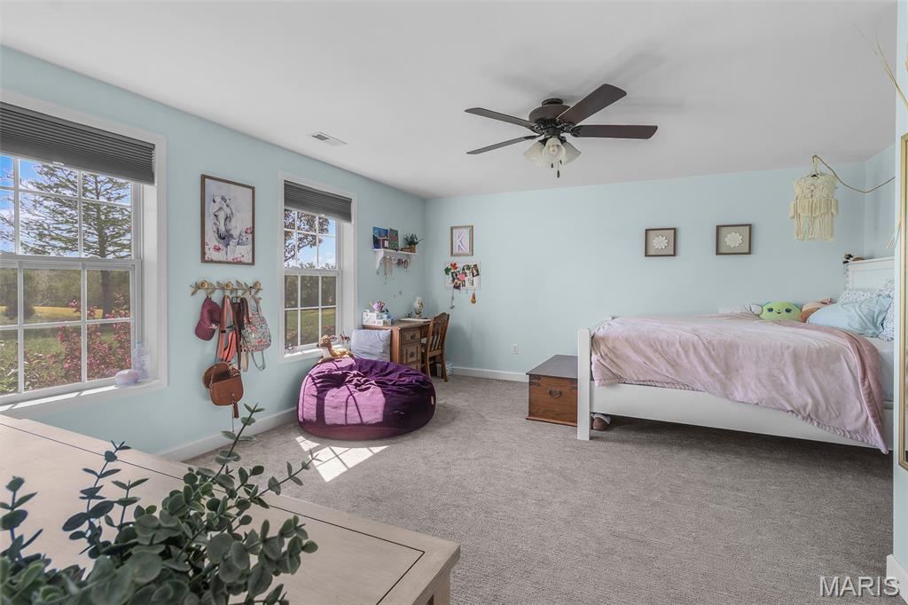 390 County Road 429 Oak Ridge, MO 63769 - Photo 35 of 41