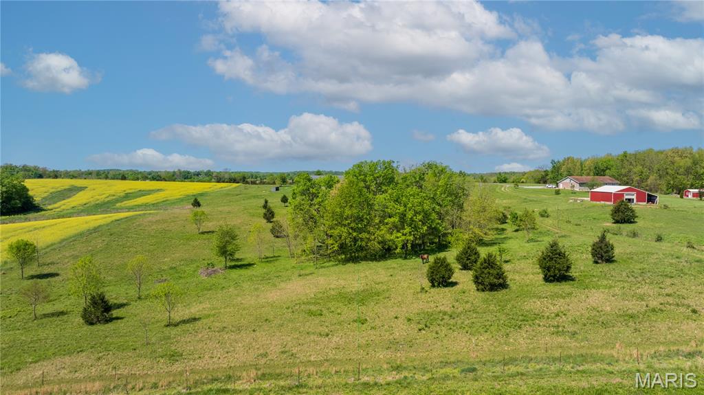 390 County Road 429 Oak Ridge, MO 63769 - Photo 40 of 41