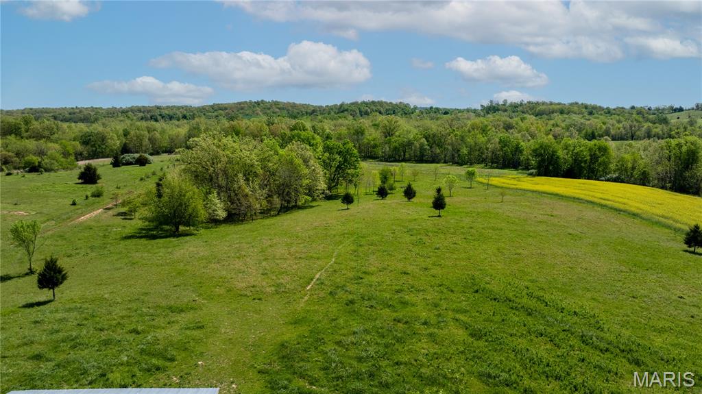 390 County Road 429 Oak Ridge, MO 63769 - Photo 9 of 41