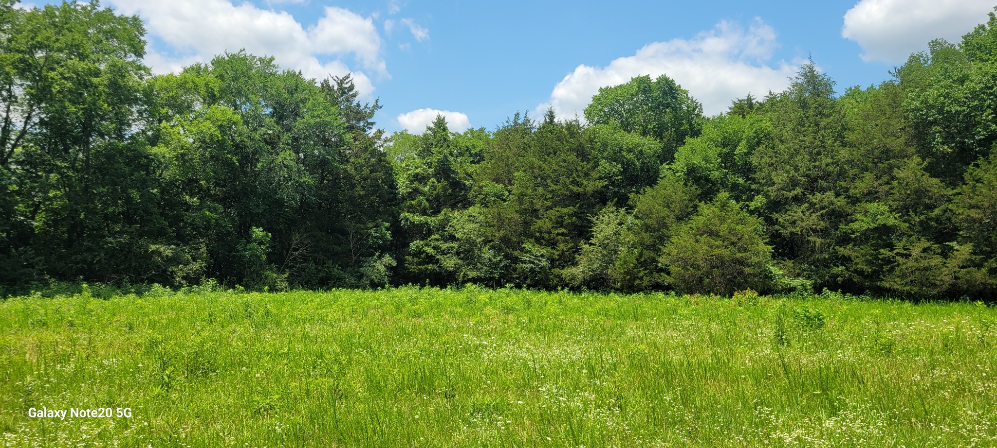 1 Clem Creek Road Chapel Hill, TN 37034 - Photo 6 of 12