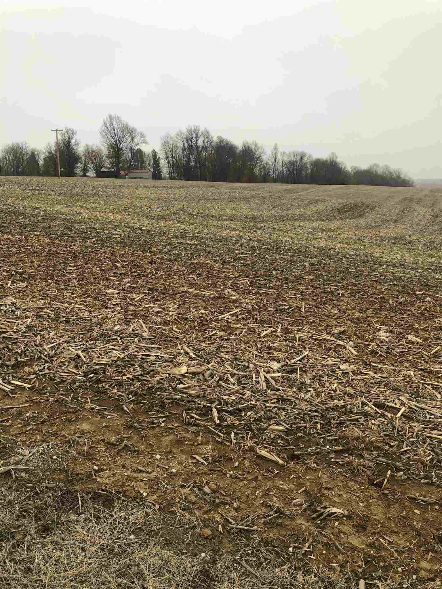 9400 Denzer Road Evansville, IN 47720 - Photo 7 of 8 Gallery Image 7