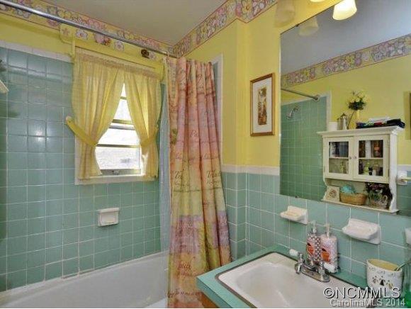 665 North Morgan Branch Road Candler, NC 28715 - Photo 14 of 18 Gallery Image 14