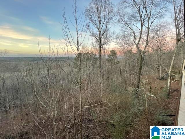 5568 South Shades Crest Road Helena, AL 35022 - Photo 21 of 26