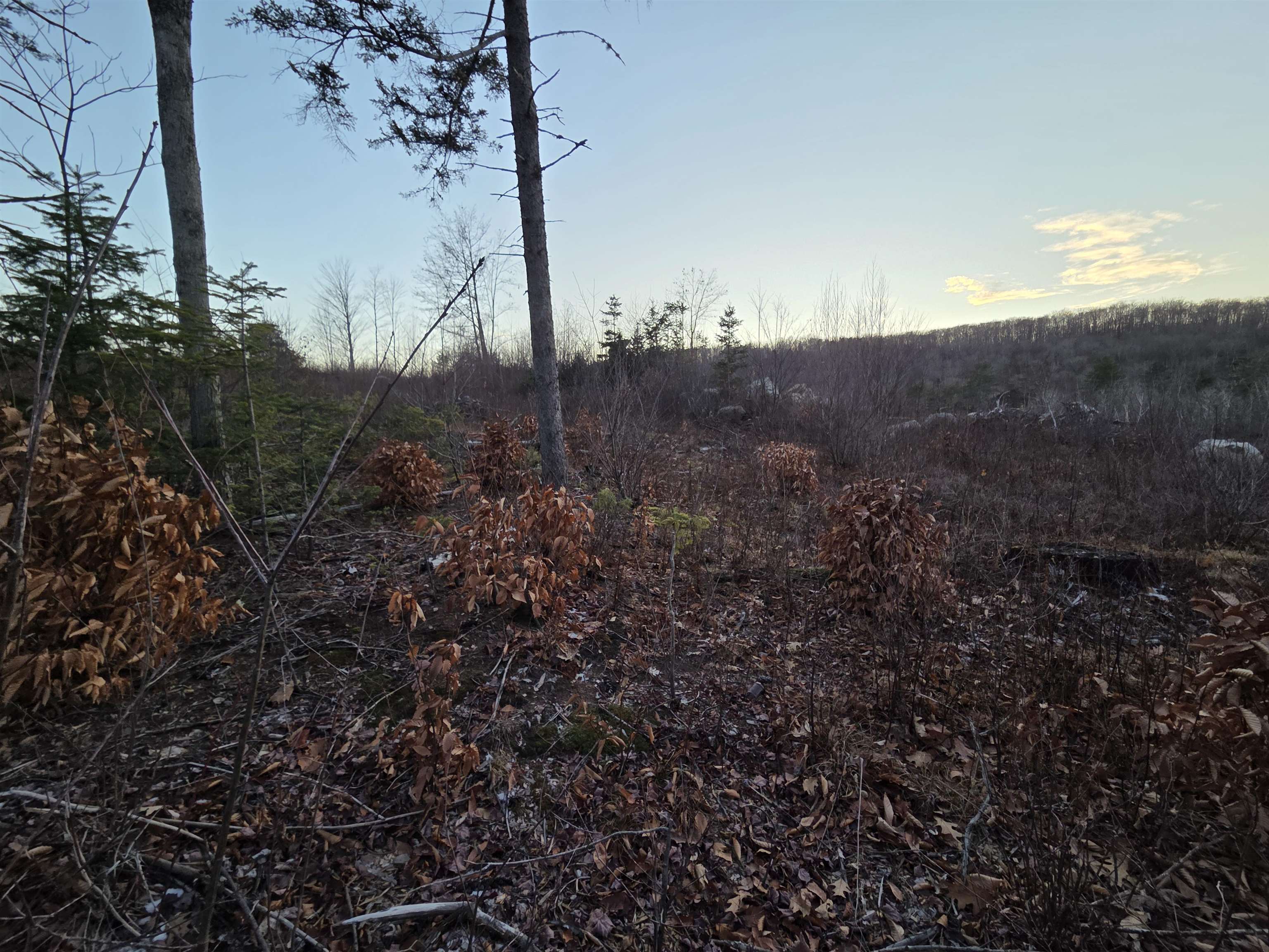 672-5 Bog Road, Unit LOT 5 Enfield, NH 03753 - Photo 2 of 5