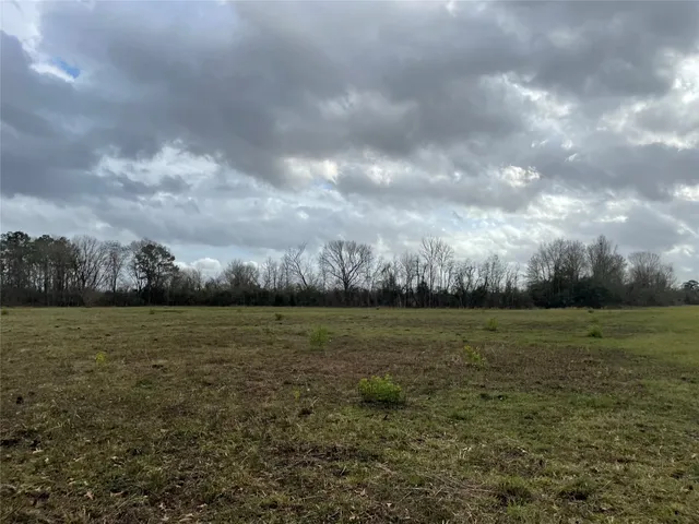 a view of a field and an trees