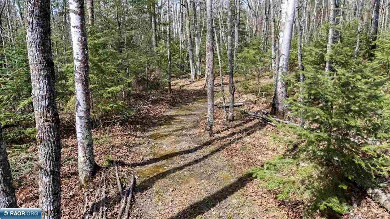 12849 Beauty Mountain Road Hibbing, MN 55746 - Photo 34 of 42