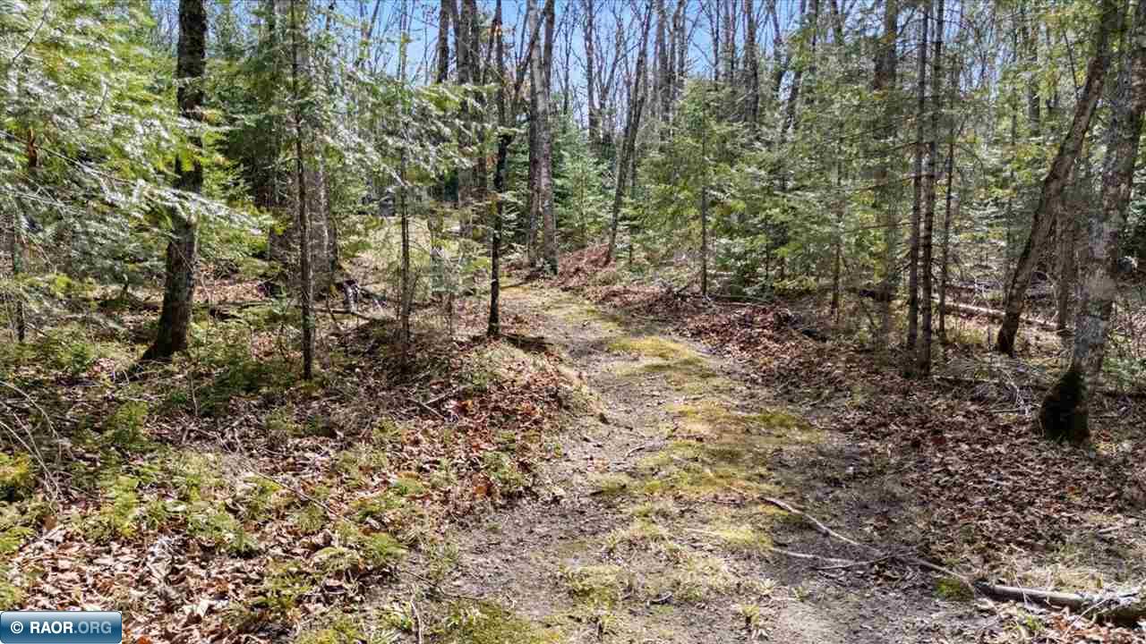 12849 Beauty Mountain Road Hibbing, MN 55746 - Photo 36 of 42