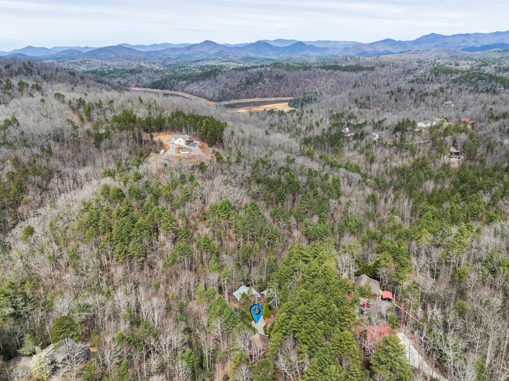 325 Trickling Branch Way Murphy, NC 28906 - Photo 56 of 58