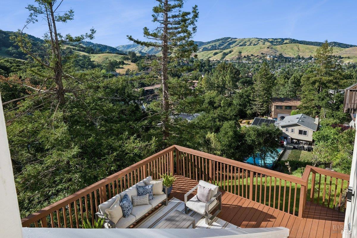 1036 Lea Drive San Rafael, CA 94903 - Photo 29 of 88